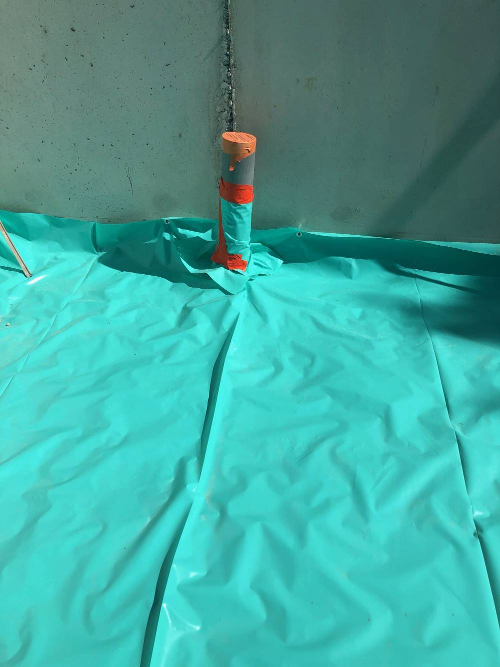 traitement termite